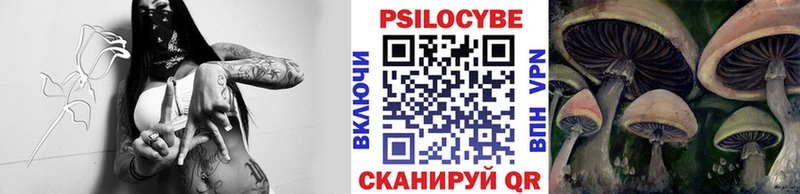 магазин    Зерноград  Псилоцибиновые грибы прущие грибы 