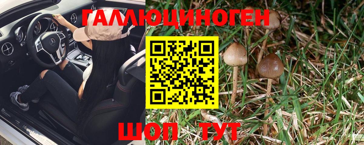 Галлюциногенные грибы Magic Shrooms Зерноград