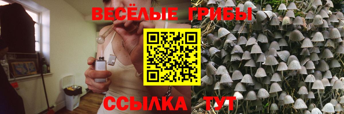 Зерноград  Псилоцибиновые грибы GOLDEN TEACHER  Вход с VPN 